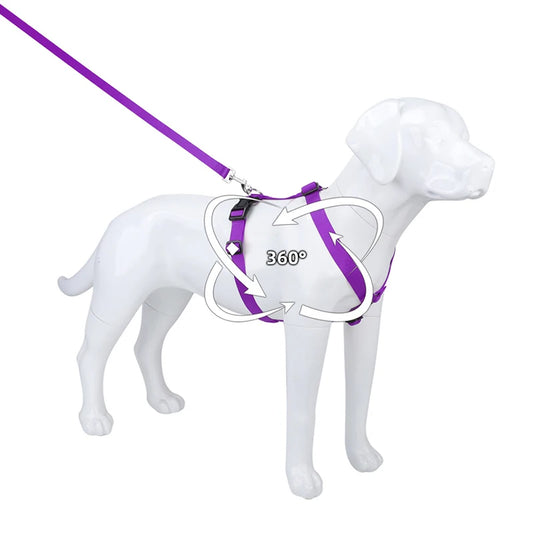 Soft Adventure Dog Harness