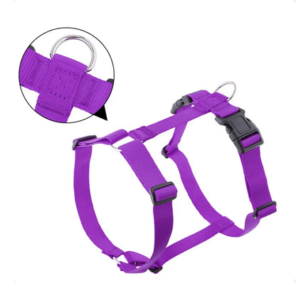 Soft Adventure Dog Harness