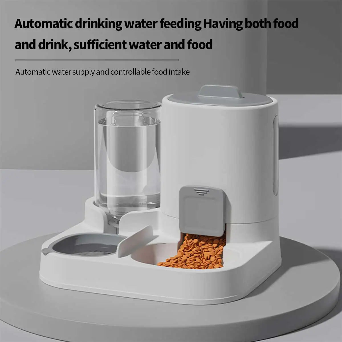 Smart Dual Pet Feeder