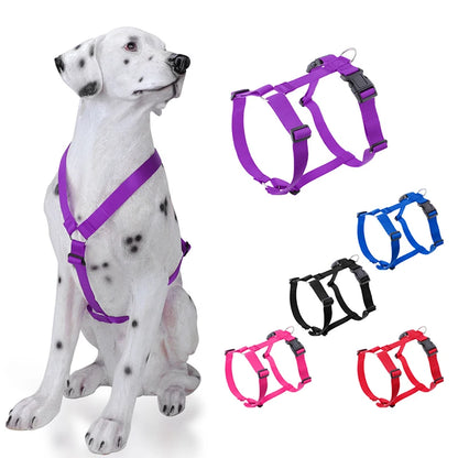 Soft Adventure Dog Harness