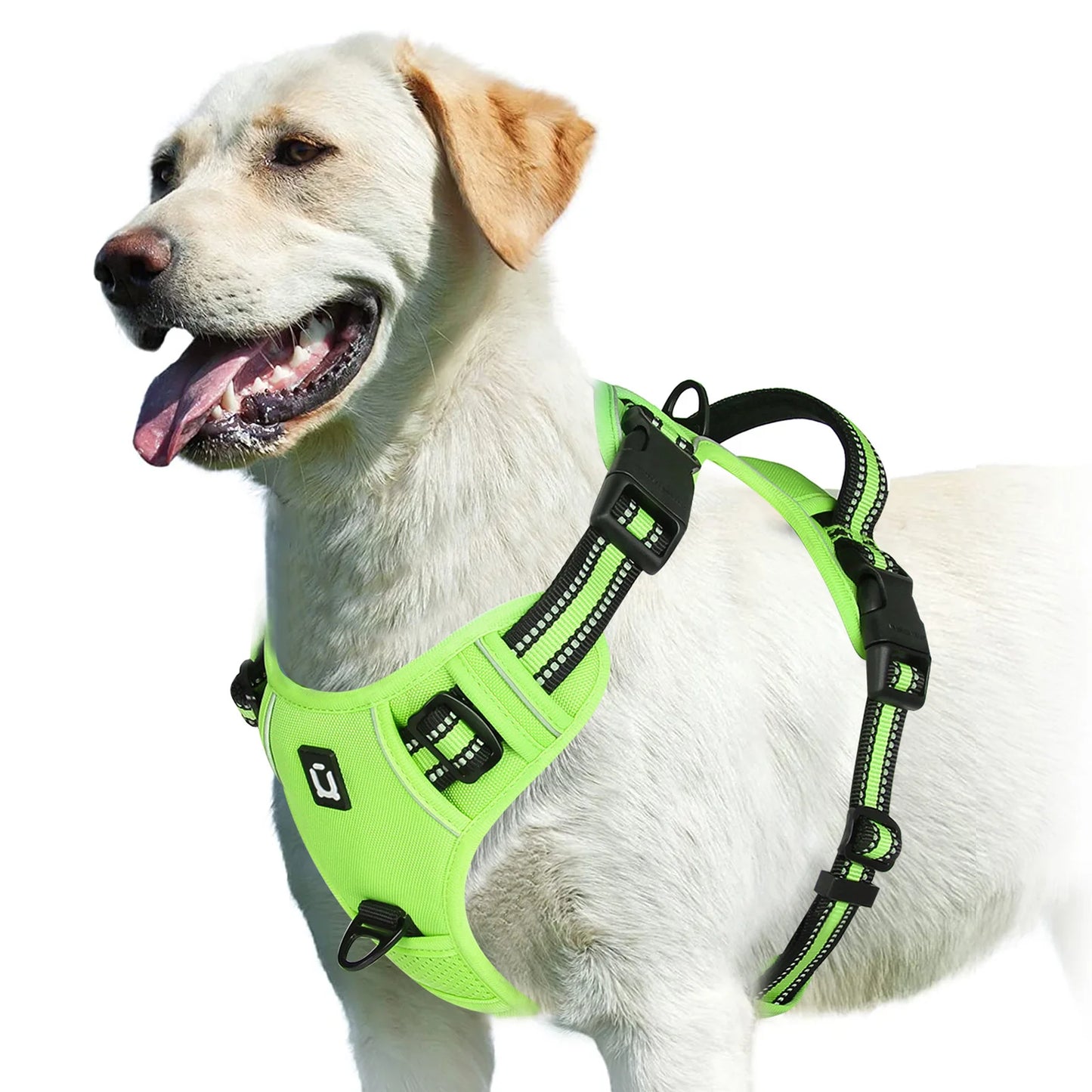 Gentle Control Dog Harness