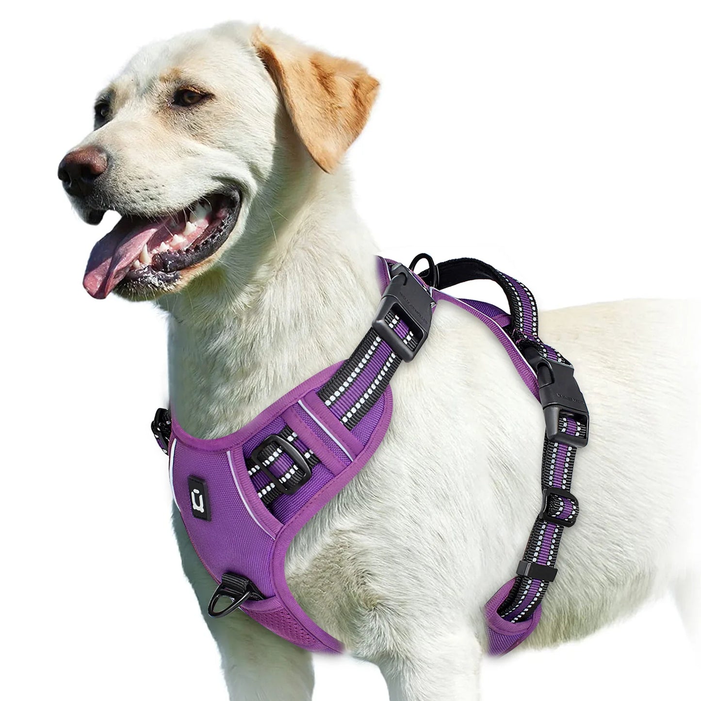 Gentle Control Dog Harness