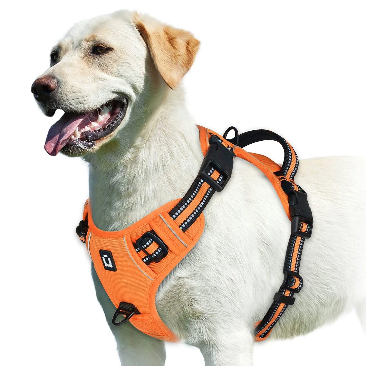 Gentle Control Dog Harness