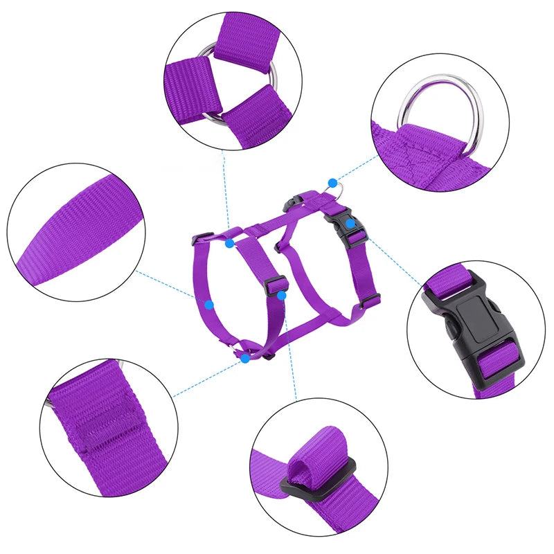 Soft Adventure Dog Harness