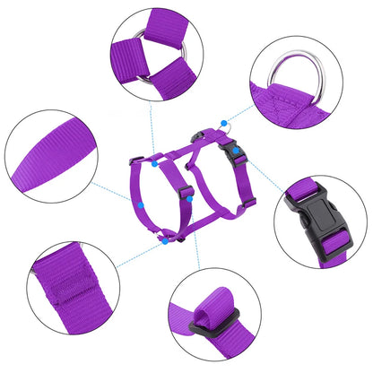 Soft Adventure Dog Harness