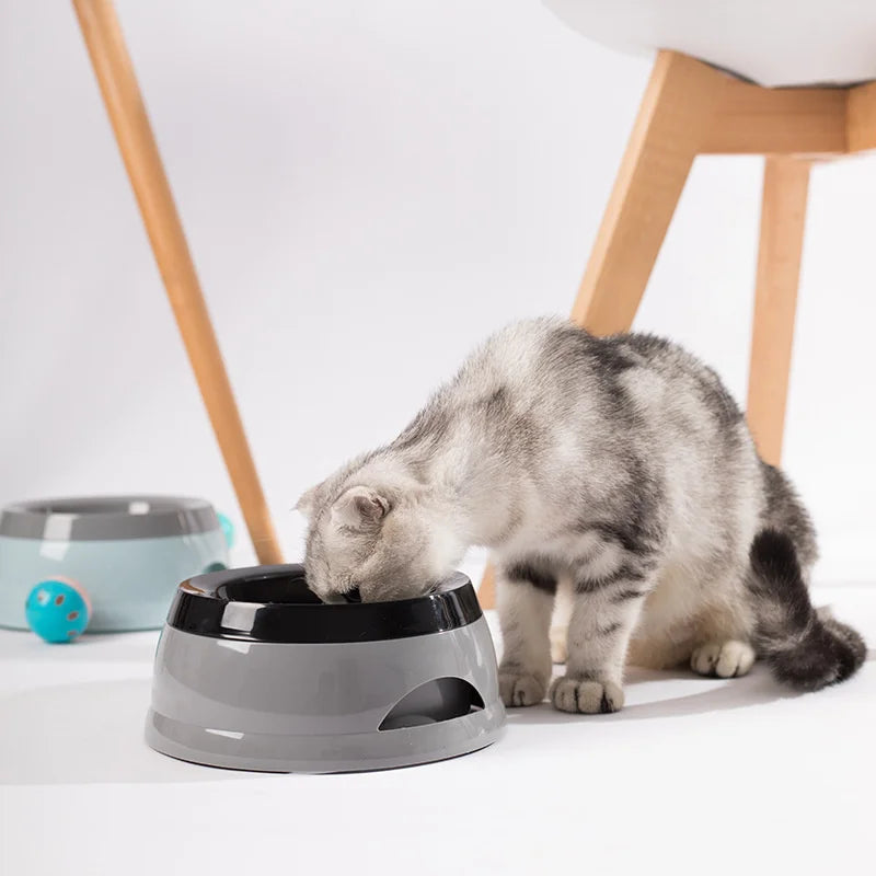 Portable Home and Travel Pet Bowl
