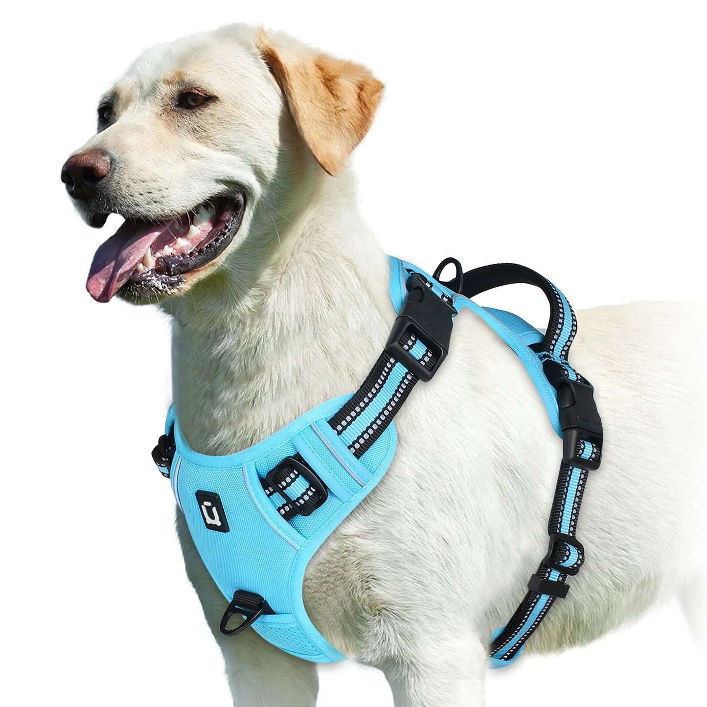 Gentle Control Dog Harness