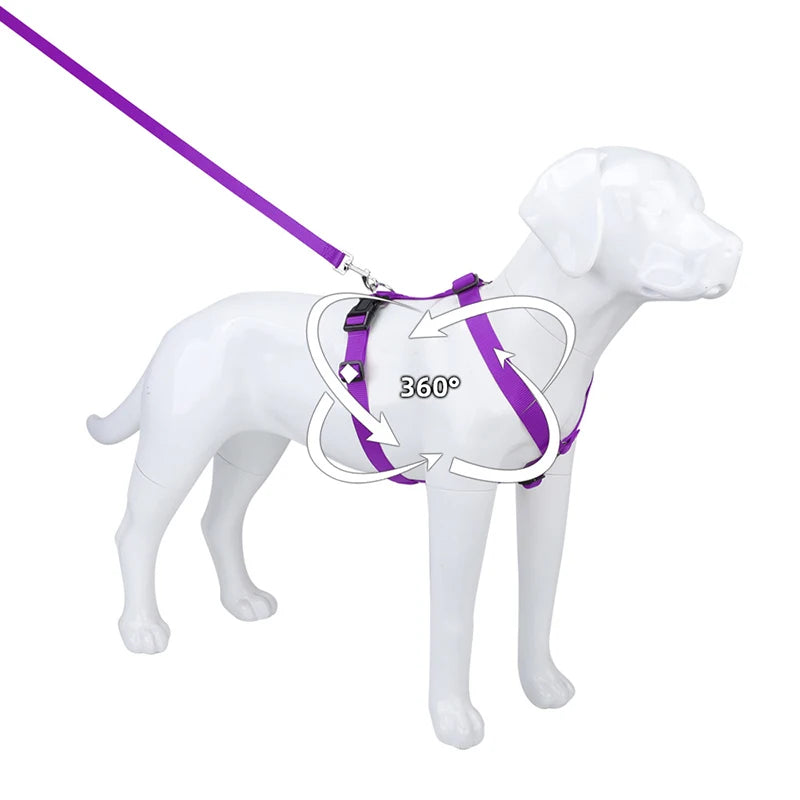 Soft Adventure Dog Harness