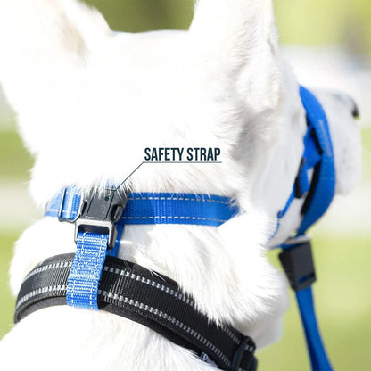 Gentle Anti-Bark Mask