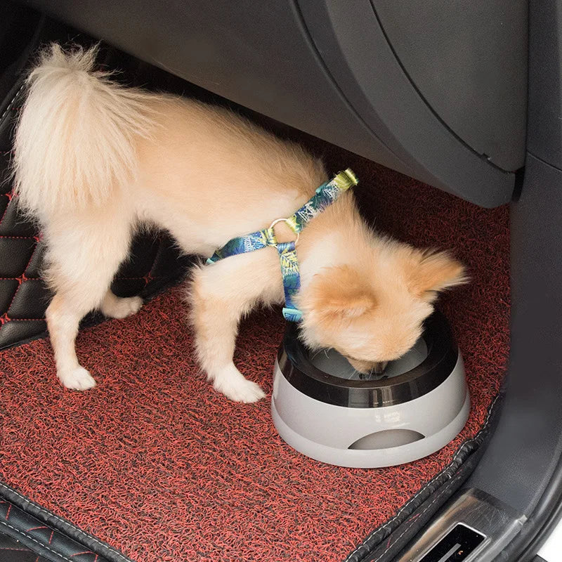 Portable Home and Travel Pet Bowl