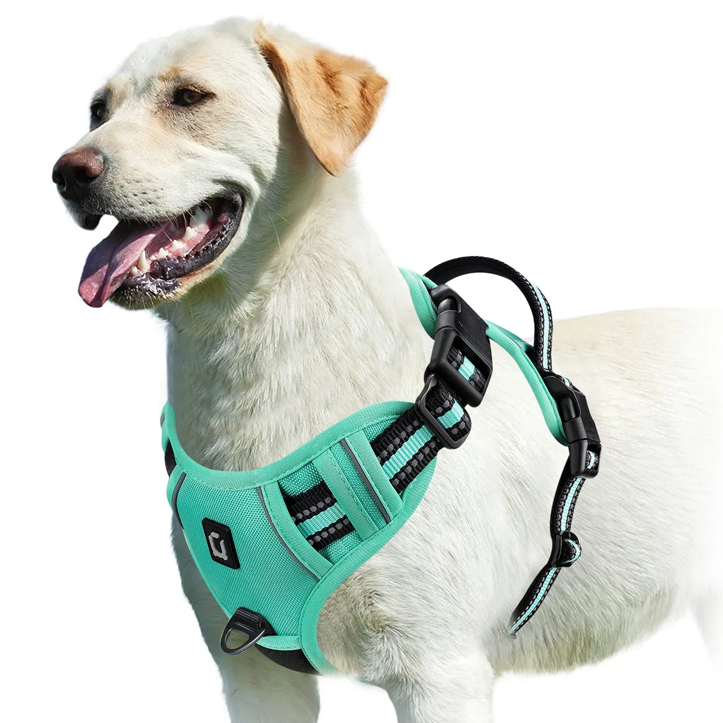 Gentle Control Dog Harness